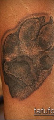 fotó TETTAO PAW (tetoválás) (érték) - példa rajz - 040