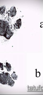 fotó TETTAO PAW (tetoválás) (érték) - példa rajz - 058