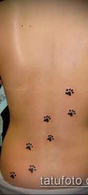 fotó TETTAO PAW (tetoválás) (érték) - példa rajz - 064