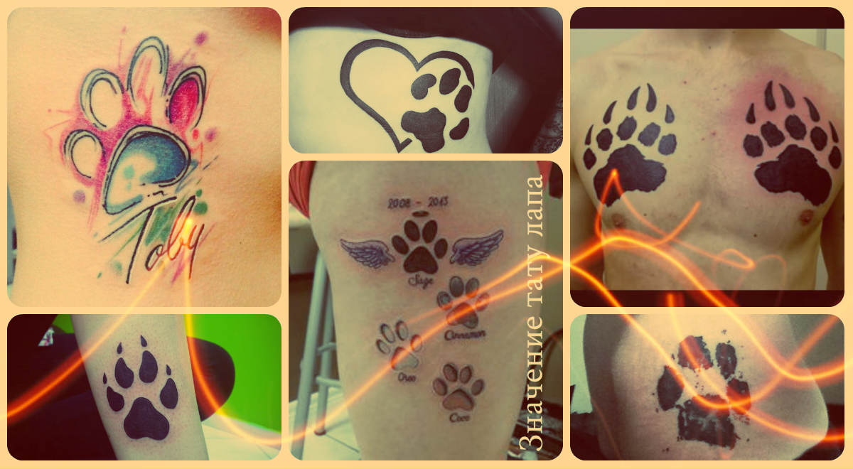 A mancs tetoválás jelentése - fényképes példák a kész tetoválásokra - rajzok