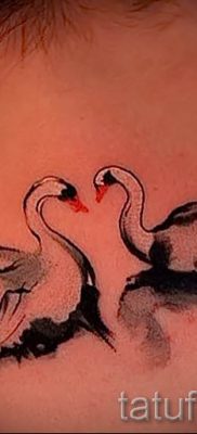 Példa hattyúval készült tetoválásra - fotó a tetoválás 40 jelentéséről szóló cikkhez