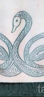 Példa hattyú tetoválásra - fotó a tetoválás jelentését bemutató cikkhez 21
