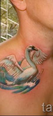 Példa hattyúval készült tetoválásra - fotó a tetoválás jelentését bemutató cikkhez 19