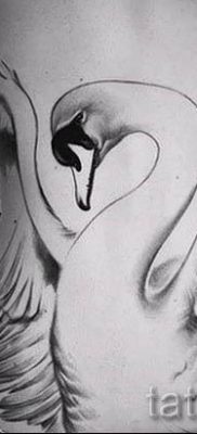 Példa hattyúval készült tetoválásra - fotó a tetoválás jelentésével foglalkozó cikkhez 13