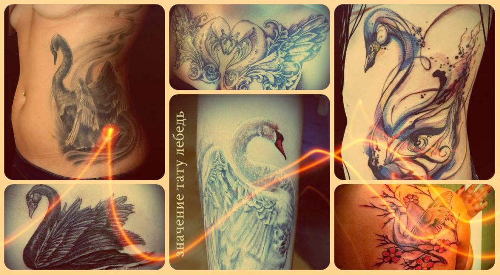 A hattyú tetoválás jelentése - információk a kész tetoválások jelentéséről és példáiról a fotón