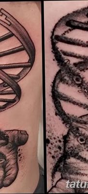 fotó tetováló létra az ég felé 2017.12.20 №012 - tetováló létra az ég felé -