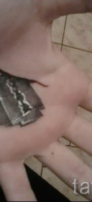 Снимка на татуировка на острието - примери за статия за значението на острието в татуировка - tatufoto.ru - 42