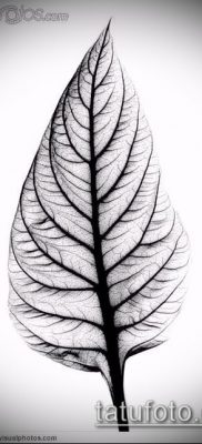 tetoválólap fotó (érték) - példa egy érdekes tetoválási rajzra - 004