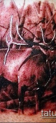 صورة وشم الأيائل (معنى) - مثال على رسم وشم مثير للاهتمام - 051