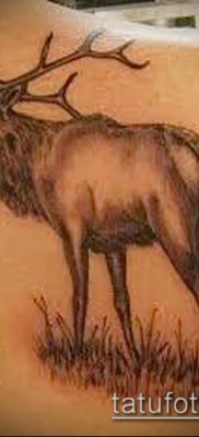 صورة وشم الأيائل (معنى) - مثال على رسم وشم مثير للاهتمام - 042