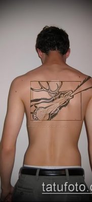 صورة وشم الأيائل (معنى) - مثال على رسم وشم مثير للاهتمام - 039