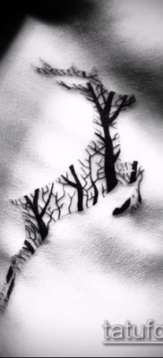 صورة وشم الأيائل (معنى) - مثال على رسم وشم مثير للاهتمام - 022