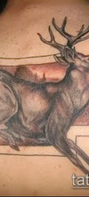 صورة وشم الأيائل (معنى) - مثال على رسم وشم مثير للاهتمام - 020