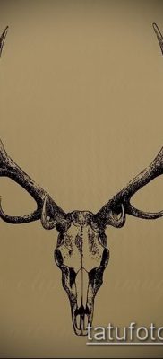 صورة وشم الأيائل (معنى) - مثال على رسم وشم مثير للاهتمام - 015