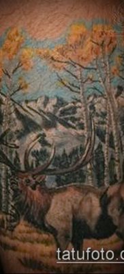 صورة وشم الأيائل (معنى) - مثال على رسم وشم مثير للاهتمام - 012