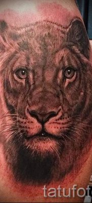 снимка на татуировка на лъвица за статия за значението на татуировка на лъвица - tatufoto.ru - 48