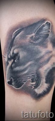 снимка на татуировка на лъвица за статия за значението на татуировка на лъвица - tatufoto.ru - 42