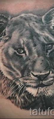 снимка на татуировка на лъвица за статия за значението на татуировка на лъвица - tatufoto.ru - 38
