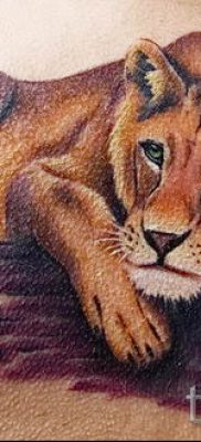 снимка на татуировка на лъвица за статия за значението на татуировка на лъвица - tatufoto.ru - 34