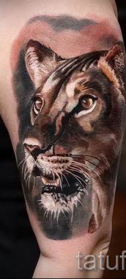 снимка на татуировка на лъвица за статия за значението на татуировка на лъвица - tatufoto.ru - 32