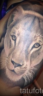 снимка на татуировка на лъвица за статия за значението на татуировка на лъвица - tatufoto.ru - 31