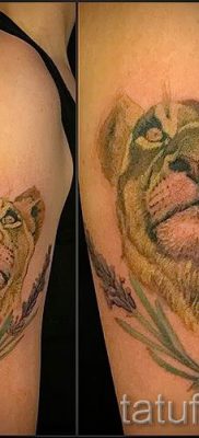 снимка на татуировка на лъвица за статия за значението на татуировка на лъвица - tatufoto.ru - 24