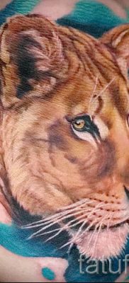 снимка на татуировка на лъвица за статия за значението на татуировка на лъвица - tatufoto.ru - 19