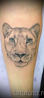 снимка на татуировка на лъвица за статия за значението на татуировка на лъвица - tatufoto.ru - 16