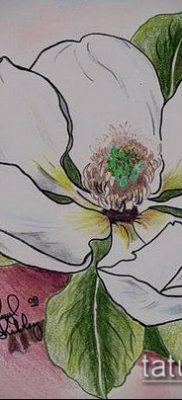 magnólia tetoválás száma 739 - a minta hűvös változata, amely jól használható a finomításhoz és a tetováló magnólia alkalmazásához a lapockán