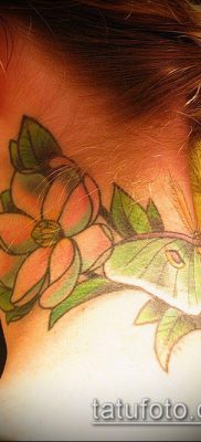 A 138 -as magnólia tetoválás a minta hűvös változata, amely sikeresen használható átalakítására és tetováló magnóliaként történő alkalmazására a lábán