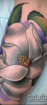 262 -es magnólia tetoválás - a minta érdekes változata, amely sikeresen használható feldolgozásra és tetováló magnólia alkalmazására a lapockán