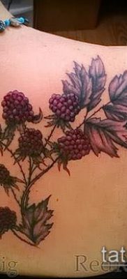 fotó egy málna tetoválásról (jelentése) - egy példa egy érdekes tetoválásrajzra - 040