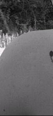 fénykép Mickey egér tetoválásról (Tattoo) (érték) - példa rajz - 072