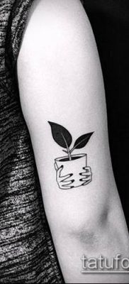 minimalizmus 800 -as tetoválás - a minta hűvös változata, amely sikeresen használható változtatásra és tetoválás minimalizmusként történő alkalmazására