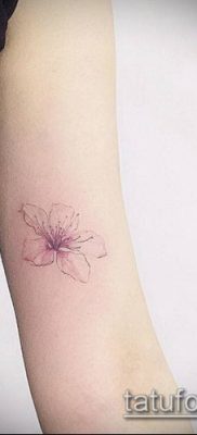 minimalista tetoválás 327. szám - a minta méltó változata, amely könnyen felhasználható átalakításra és tetoválás minimalizmusként történő alkalmazására az alkaron