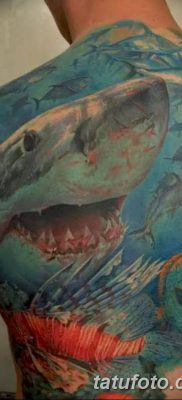 fotó tetoválás tenger 2018.03.27 -től №054 - tetováló tenger -