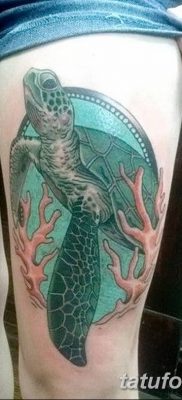 fotó tetoválás tenger 2018.03.27 -től №074 - tetováló tenger -