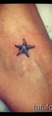 Fotografija tetovaže morske zvijezde (Tattoo morska zvijezda) (vrijednost) - primjer crteža - 005