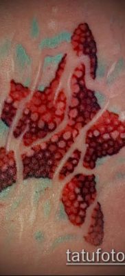 Fotografija tetovaže morske zvijezde (značenje) - primjer crteža - 011