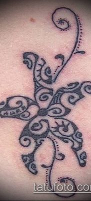 Fotografija tetovaže morske zvijezde (tetovaža morske zvijezde) (vrijednost) - primjer crteža - 015