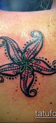 Fotografija tetovaže morske zvijezde (tetovaža morske zvijezde) (vrijednost) - primjer crteža - 017