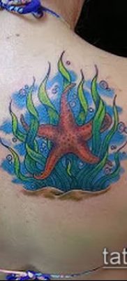 Fotografija tetovaže morske zvijezde (tetovaža morske zvijezde) (vrijednost) - primjer crteža - 046