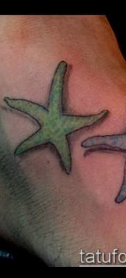 Fotografija tetovaže morske zvijezde (tetovaža morske zvijezde) (vrijednost) - primjer crteža - 047