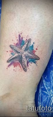 Fotografija tetovaže morske zvijezde (značenje) - primjer crteža - 053