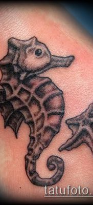 Fotografija tetovaže morske zvijezde (tetovaža morske zvijezde) (vrijednost) - primjer crteža - 060