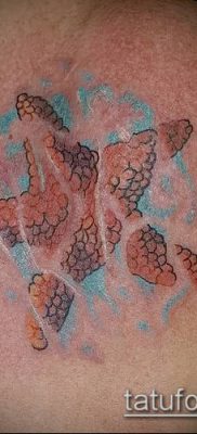 Fotografija tetovaže morske zvijezde (tetovaža morske zvijezde) (vrijednost) - primjer crteža - 067