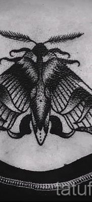 fotó lepke tetoválásról a moly tetoválás jelentéséről szóló cikkhez - tatufoto.ru - 30