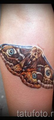foto-tatu-motylek-dlya-stati-pro-znachenie-tatuirovki-motylek-001-tatufoto-ru