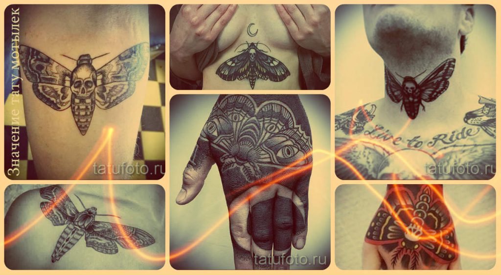 A lepke tetoválás jelentése - információk a tetoválás jelentéséről és példák a fotón