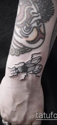 fénykép egy légy tetoválásról (jelentése) - egy példa egy érdekes tetoválási rajzra - 039